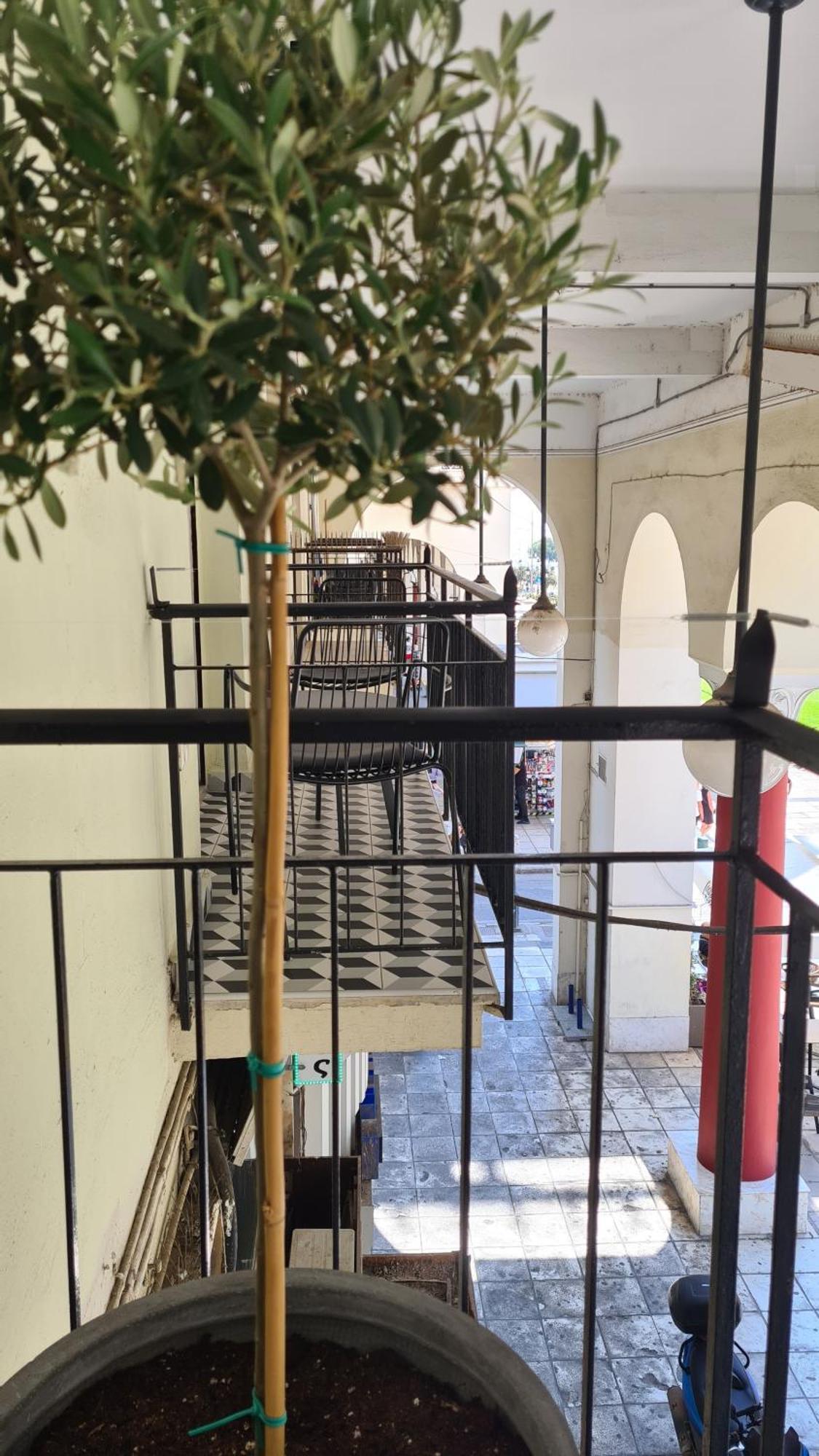 Μerάκι Aristotelous Sq เทสซาโลนิกิ ภายนอก รูปภาพ